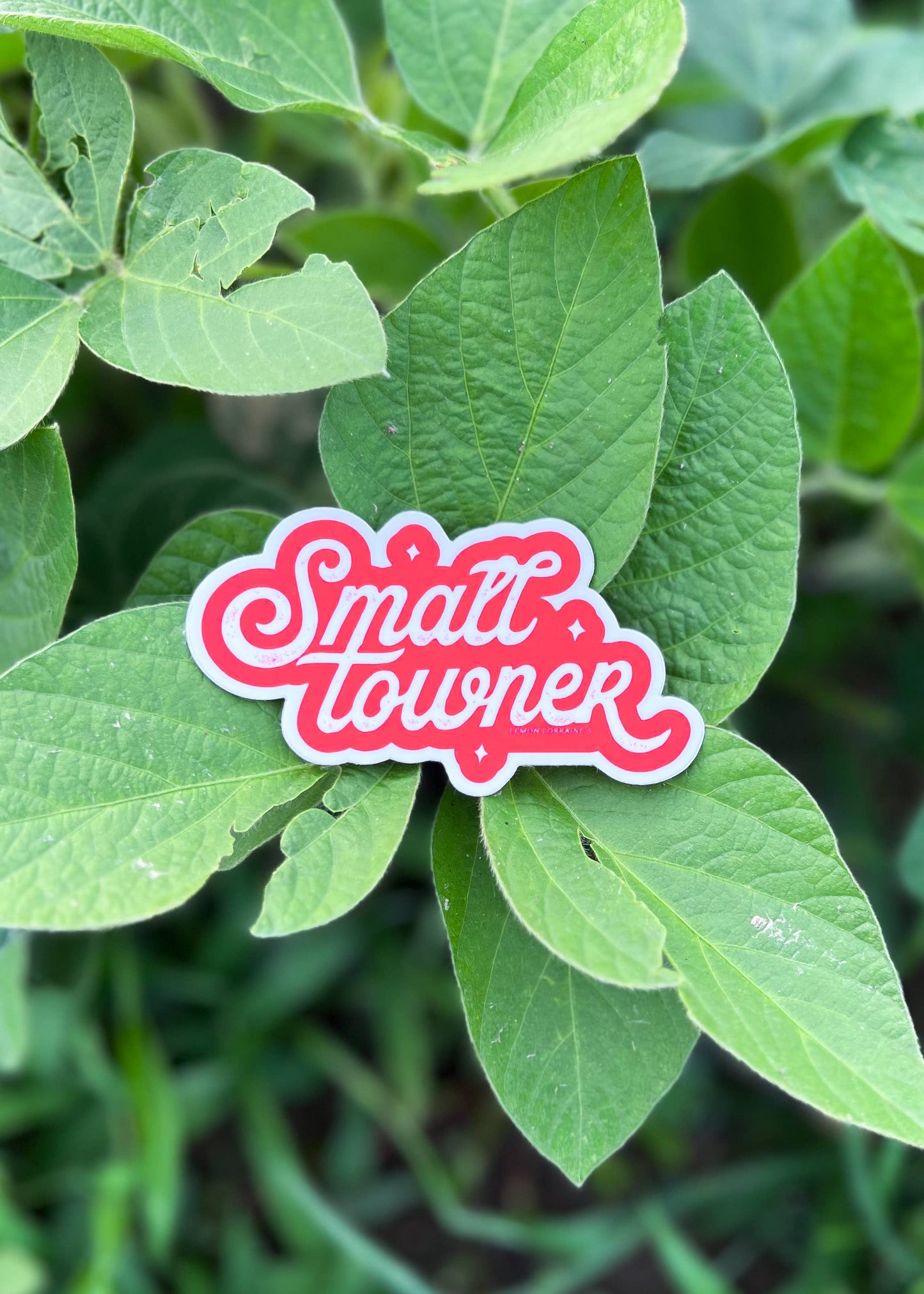 SMALL TOWNER -Sticker